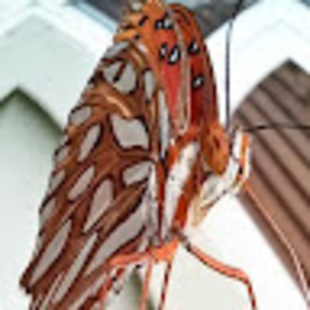 Meet your Posher, Hutch